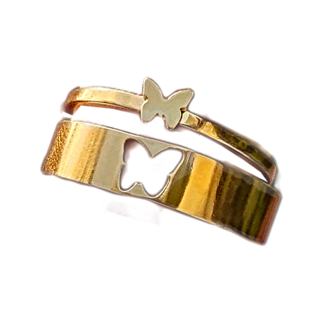 Like two drops of water: all about paired rings