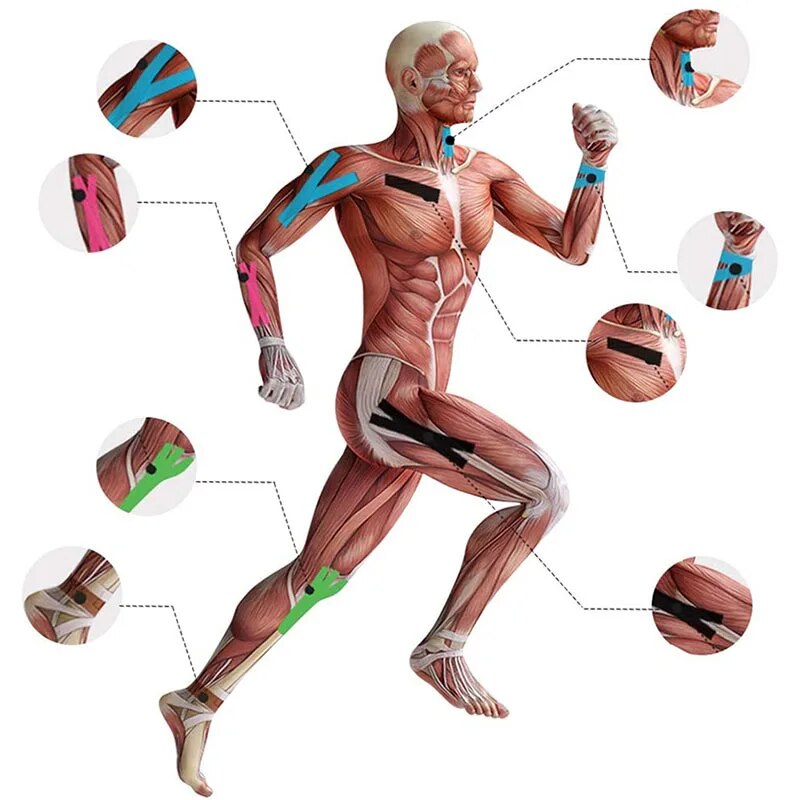 Therapeutic Knee Wrap