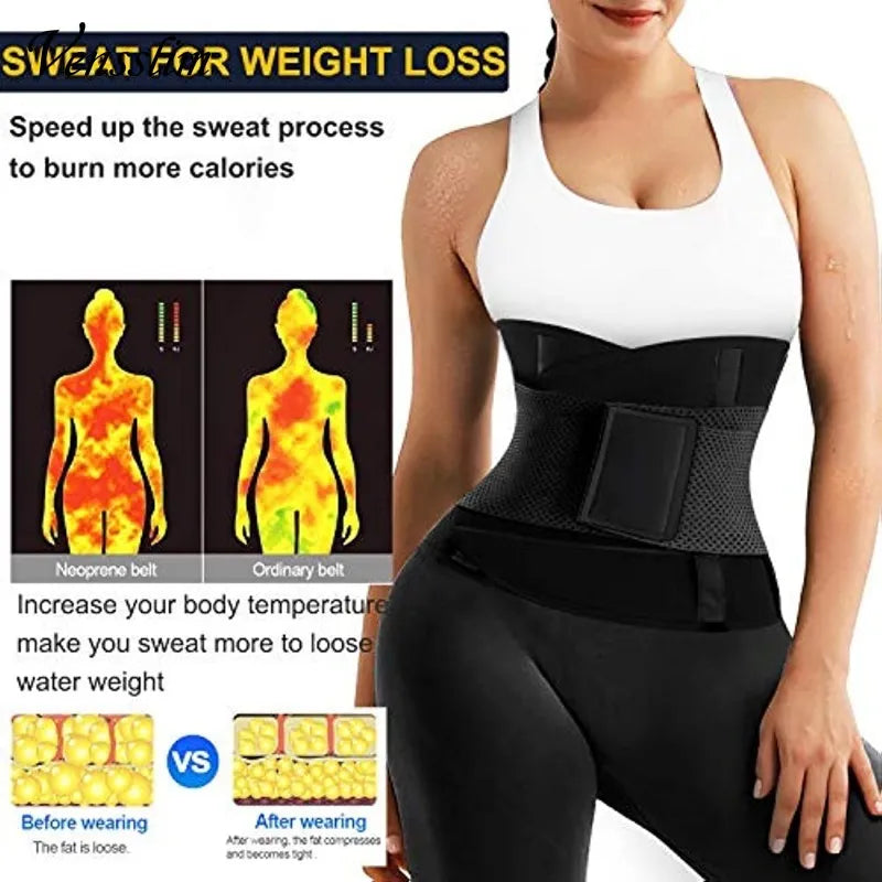 Abdomen Trainer Belt